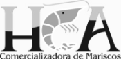 logo gris hca