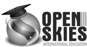 logo open gris